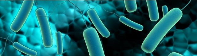 Bakterier stave blå