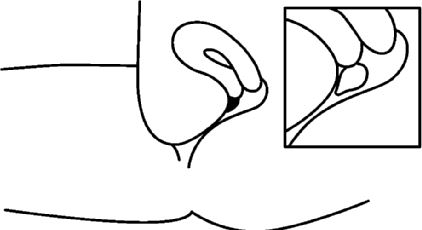 Crinone® vaginalgel 90 mg/dosis Abacus Medicine A/S