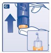 Novorapid FlexPen Novo Nordisk A/S injektionsvæske, opløsning 100 E/ml